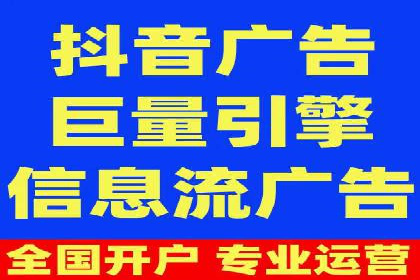 百度竞价策略解析：案例分析及优化建议